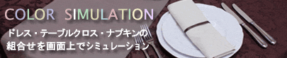 カラーコーディネートシュミレーション